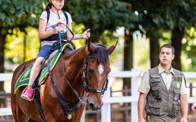 Si salvi chi può! Giornata ecologica a Casorate Primo