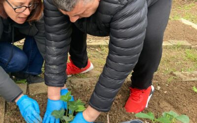 Il nuovo orto del Centro Diurno Disabili L’Airone