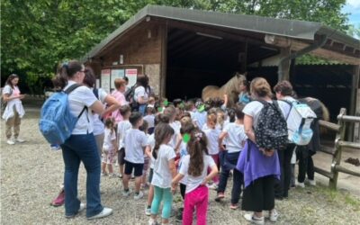 I mille della Landriano City Farm