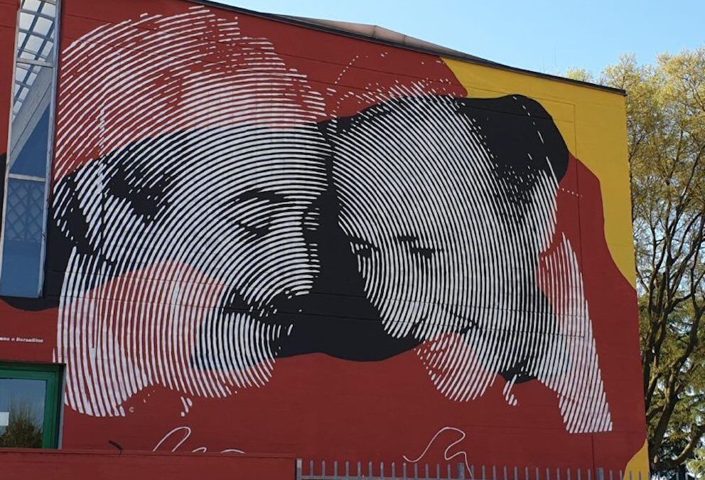 Falcone: una lezione che continua a parlare