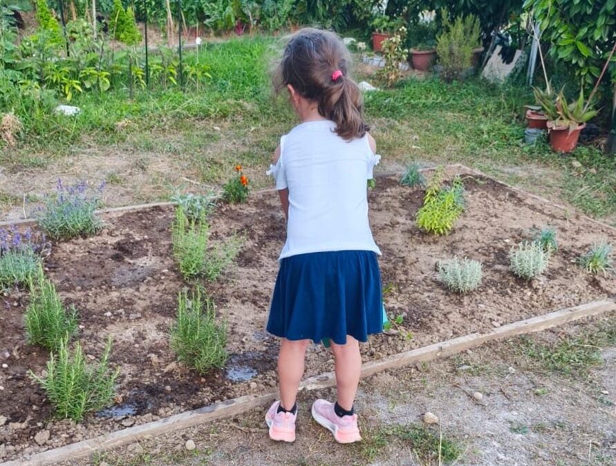Borgo sostenibile Figino, coltiviamo orti (e relazioni)