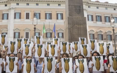 L’importanza della legge 185