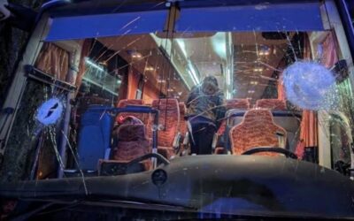 Di tutta l’erba nemmeno un fascio