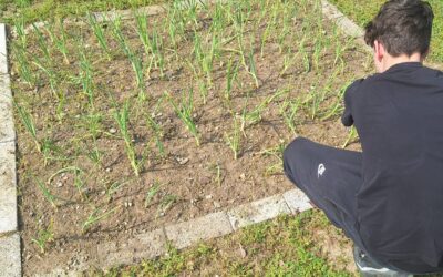 L’altra sospensione: così la sanzione educativa diventa esperienza di crescita