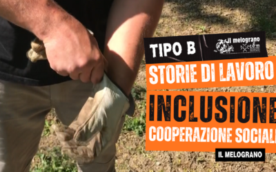 Tipo B: storie di lavoro, inclusione, cooperazione sociale